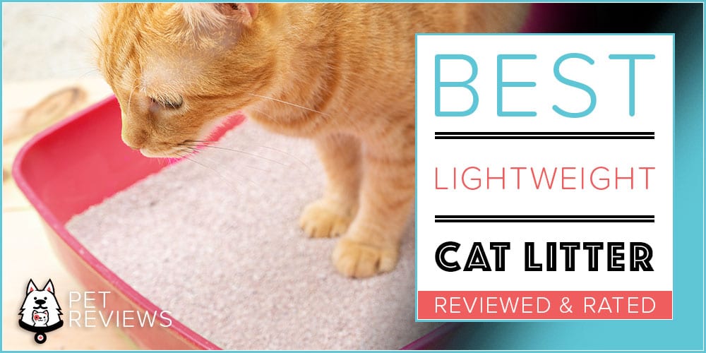 light cat litter