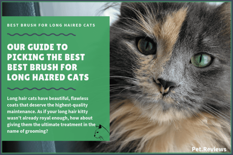 7 Best Long Haired Cat Brushes With Our 2022 Budget-Friendly Pick