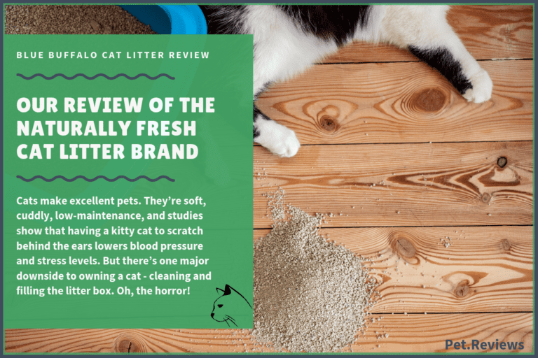 Our 2023 Blue Buffalo Cat Litter Review and Coupons