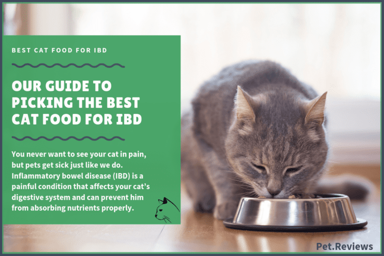 10 Best Wet & Canned Cat Foods for IBD (Inflammatory Bowel Disease)