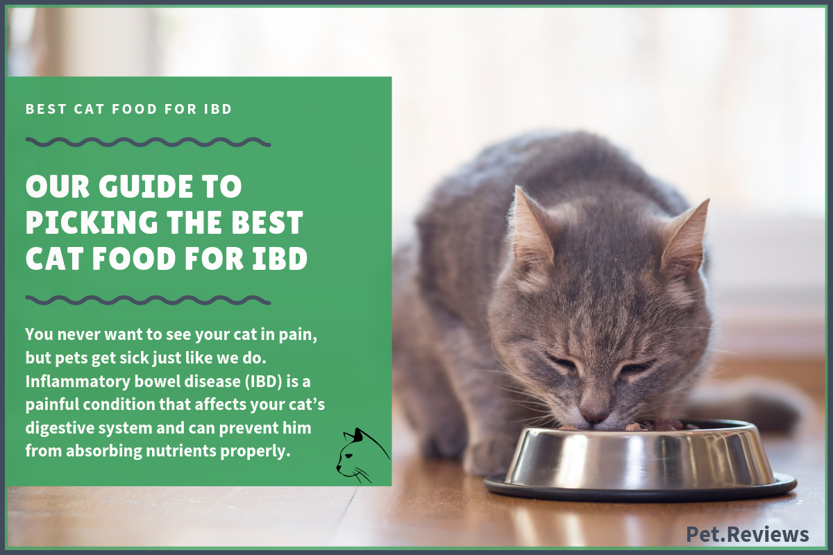 ibd cat food