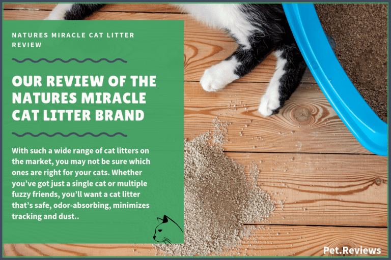 Our 2022 Nature’s Miracle Cat Litter Reviews and Coupons