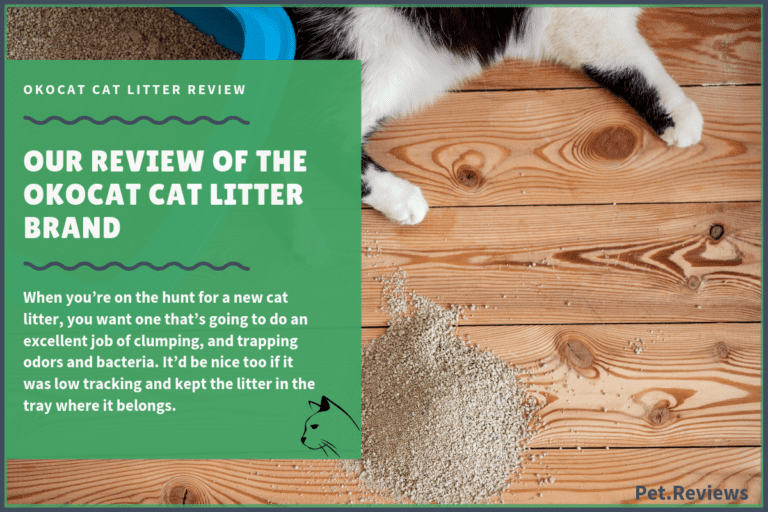 Our 2022 Okocat Cat Litter Review and Coupons