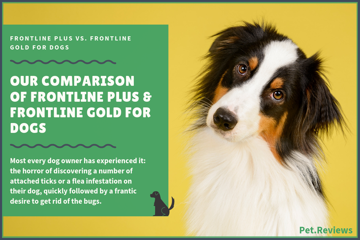 Frontline Plus vs Frontline Gold for Dogs Which One is Better