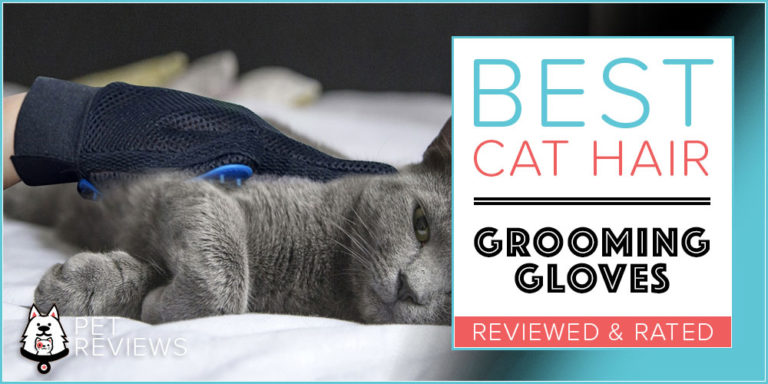 7 Best Cat Brush (Grooming) Gloves: 2022 Top Rated Cat Hair Gloves