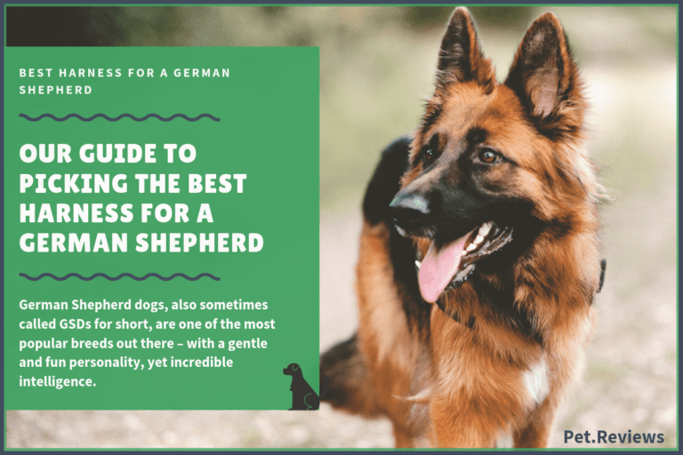 9 Best Harnesses for German Shepherds: Our Walking, Hiking & No Pull Picks