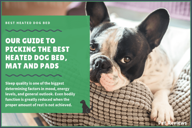 Best Heated Dog Beds, Pads, and Mats: Our Electric & Self Warming Picks