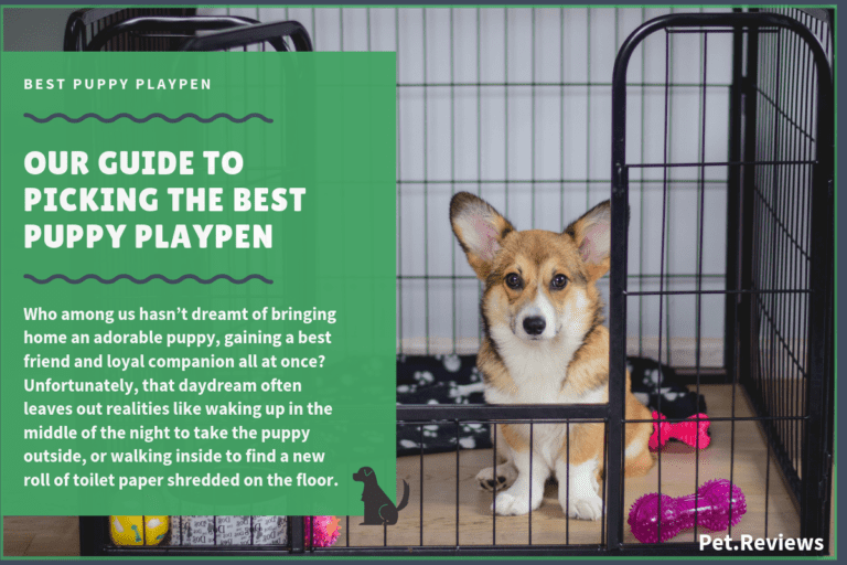 8 Best (Indoor & Outdoor) Puppy Playpens and Exercise Pens