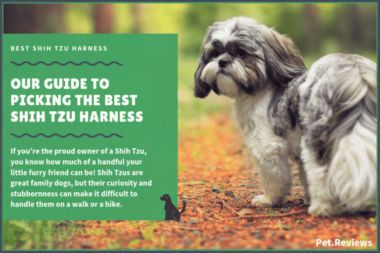 10 Best Harnesses for Shih Tzus: Our Walking, Hiking & No Pull Picks