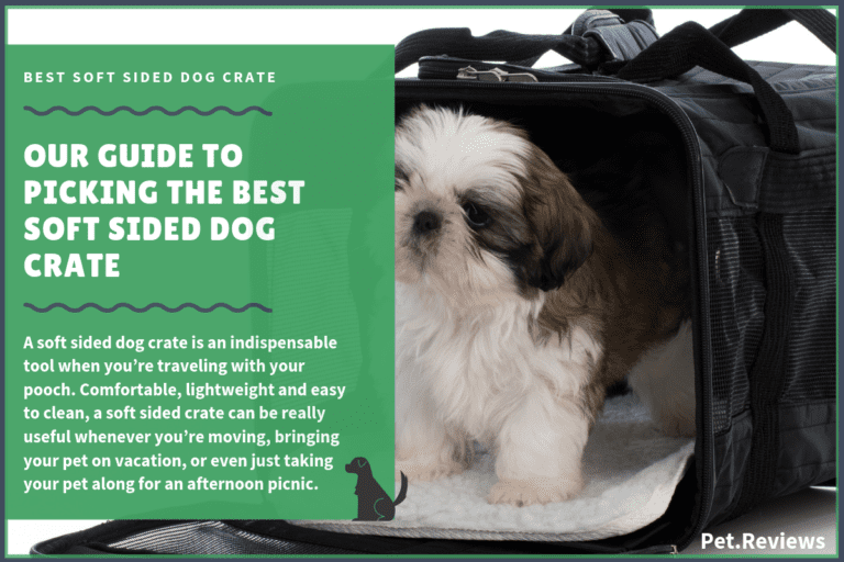 9 Best Soft Dog Crate for Large & Small Dogs in 2023