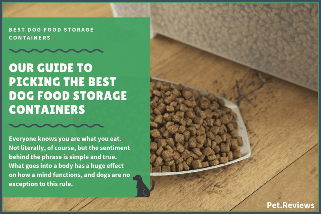 best dog food storage