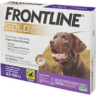 Frontline Plus vs. Frontline Gold for Dogs: Which One is Better