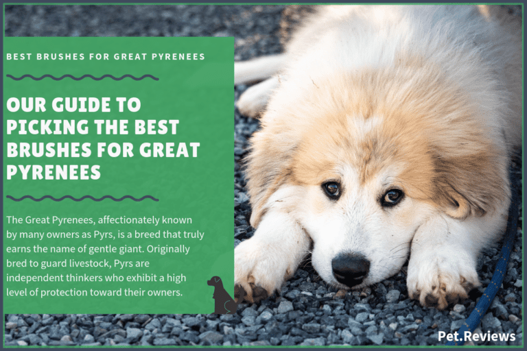 9 Best Brushes for Great Pyrenees: Our 2023 Top Rated Picks