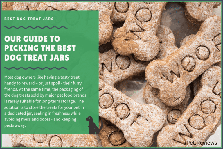 8 Best Dog Treat Jar, Container and Canisters in 2022