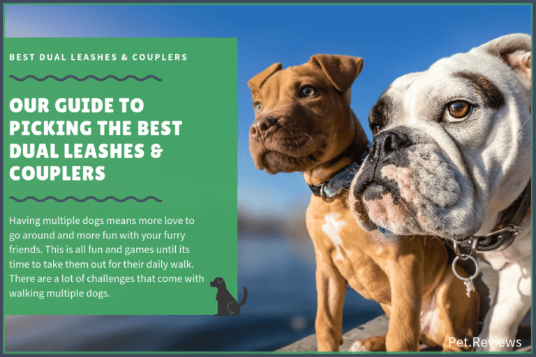 6 Best Dual (No Tangle) Leashes & Couplers for Multiple Dogs