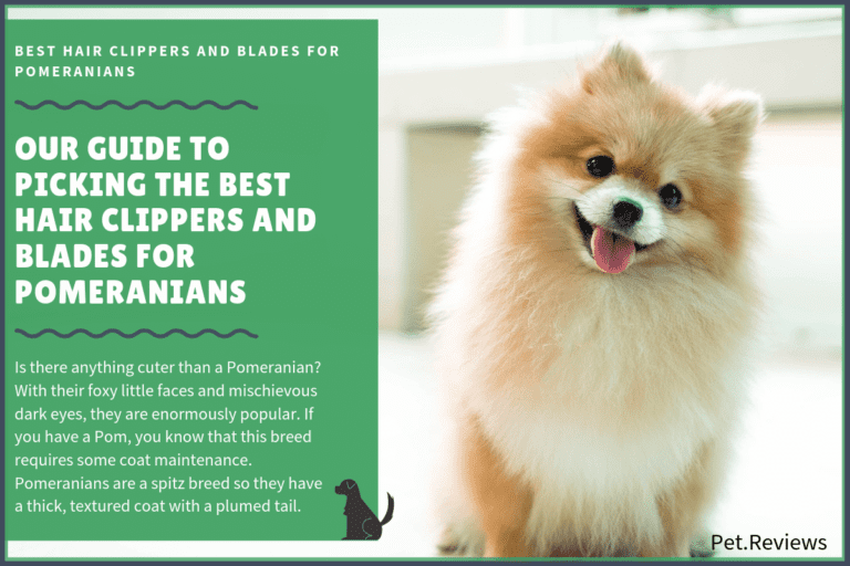 9 Best (Professional) Hair Clippers and Blades for Pomeranians in 2023