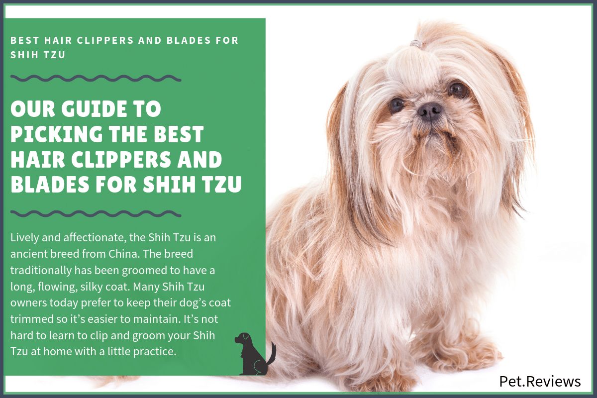 best hair clippers and blades for shih tzu