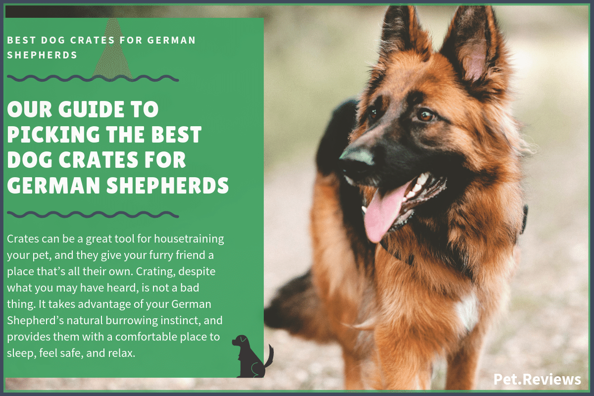 best dog crate for german shepherds
