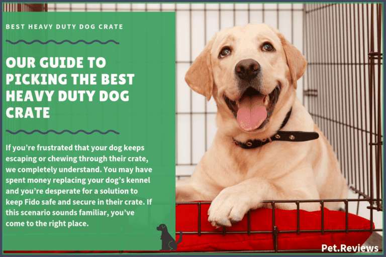 7 Best Heavy Duty Dog Crates (Escape Proof) in 2022