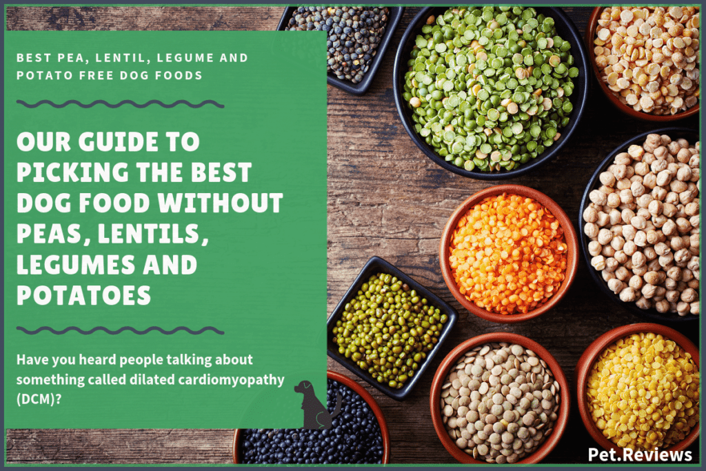 best dog food without peas, lentil, legumes and potatoes