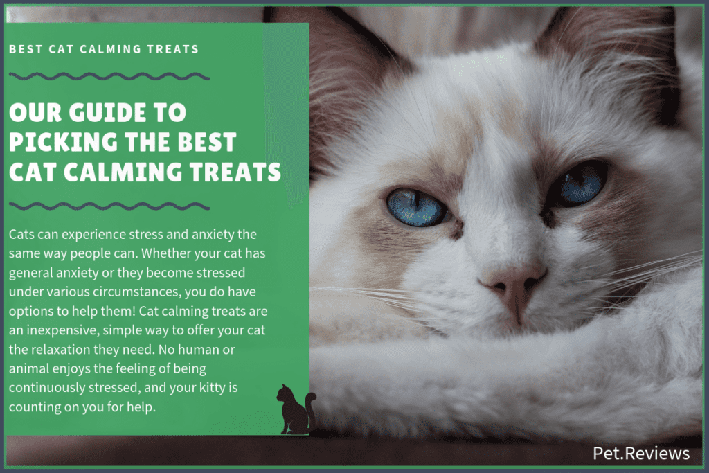 best cat calming treats