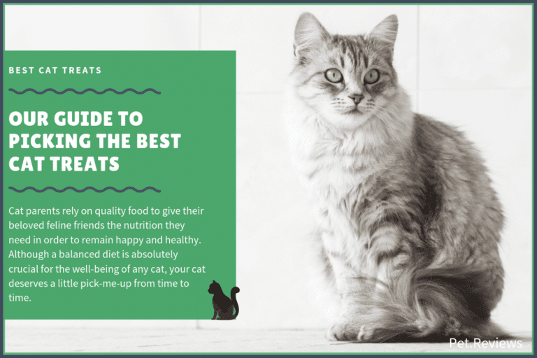 8 Best Cat Treats With Our 2023 Editor’s Pick