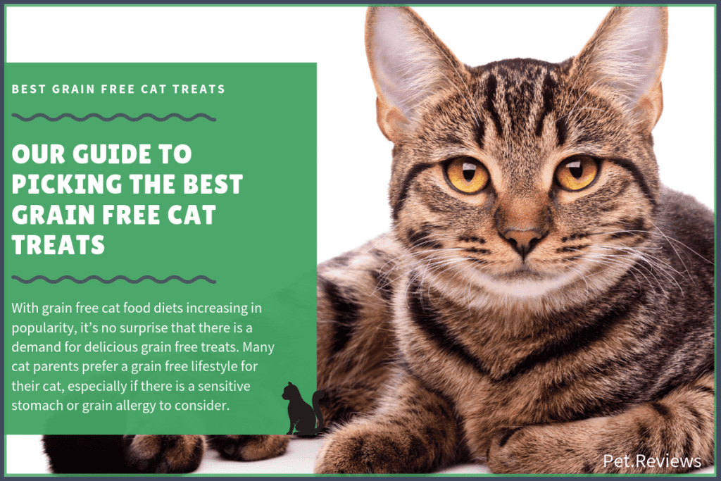 best grain free cat treats