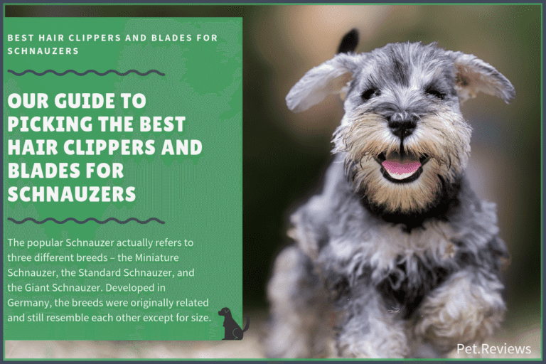 9 Best (Professional) Hair Clippers and Blades for Schnauzers in 2023