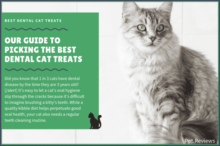 7 Best Dental Cat Treats With Our 2023 Budget-Friendly Pick