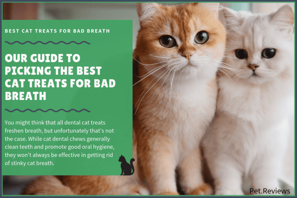 best cat treats for bad breath