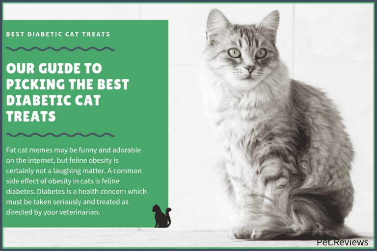 8 Best Diabetic Cat Treats With Our 2022 Editor’s Pick