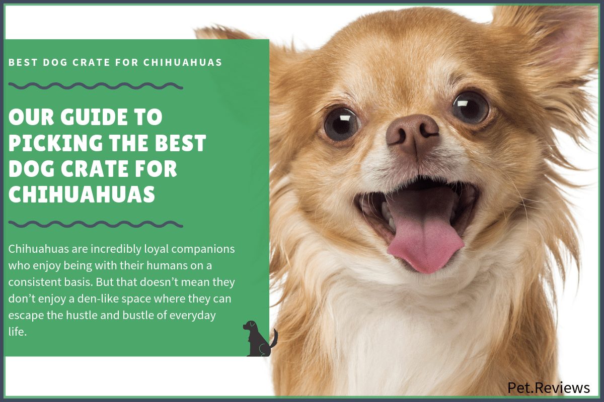 best dog crate for chihuahuas