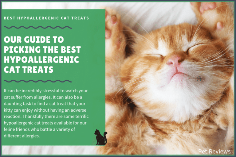 8 Best Hypoallergenic Cat Treats With Our 2022 Budget-Friendly Pick