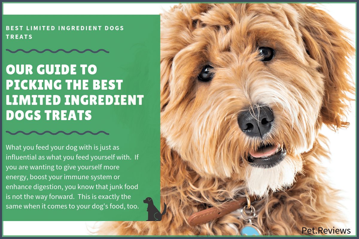 best limited ingredient dog treat