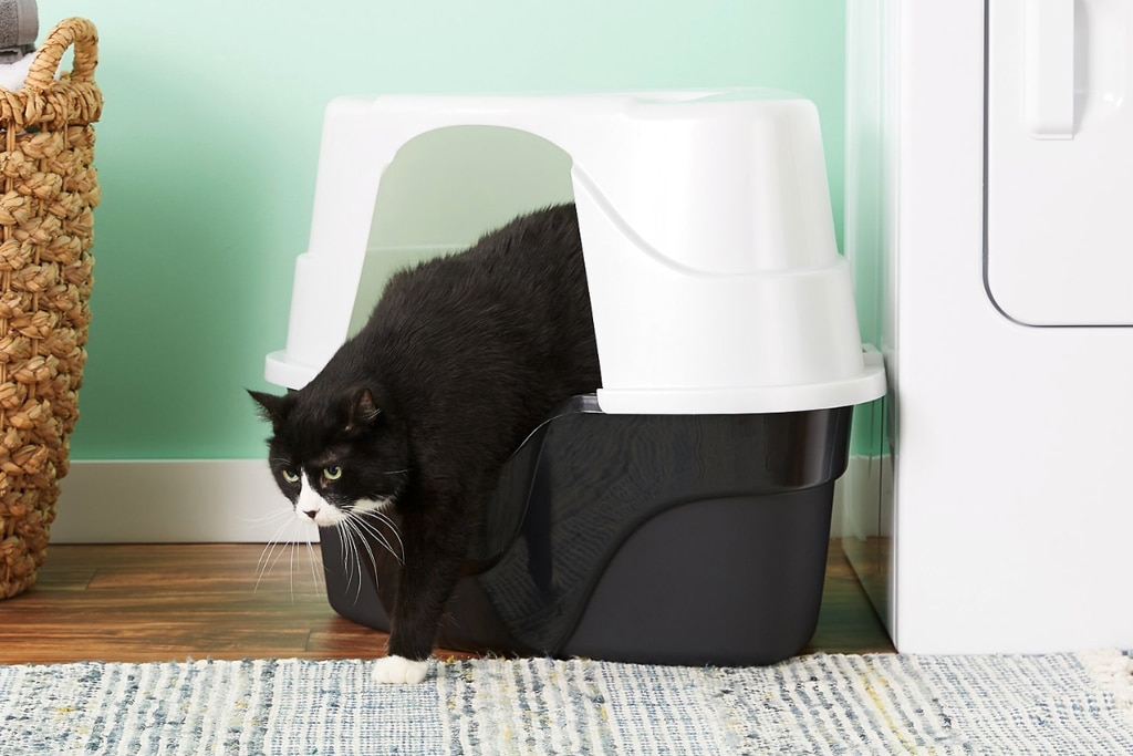 nature's miracle advanced corner hooded cat litter box