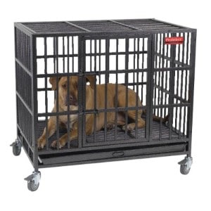 Guardian Gear ProSelect Empire Dog Cage