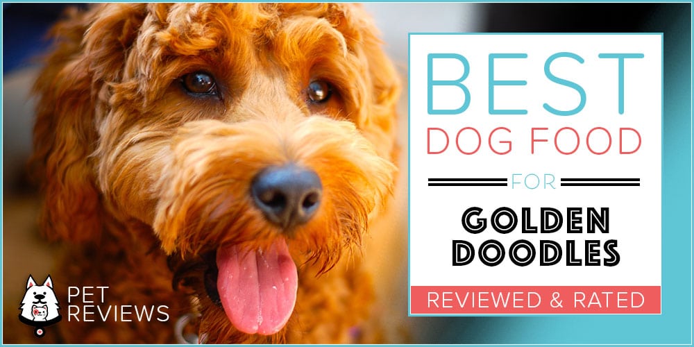 best puppy food for goldendoodle