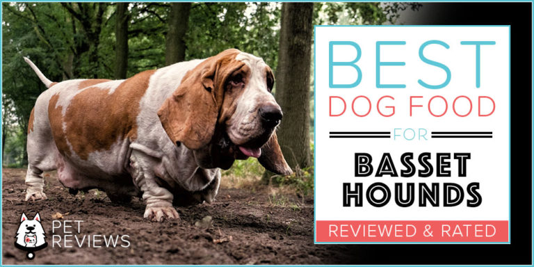 11 Best Dog Foods for Basset Hounds in 2022