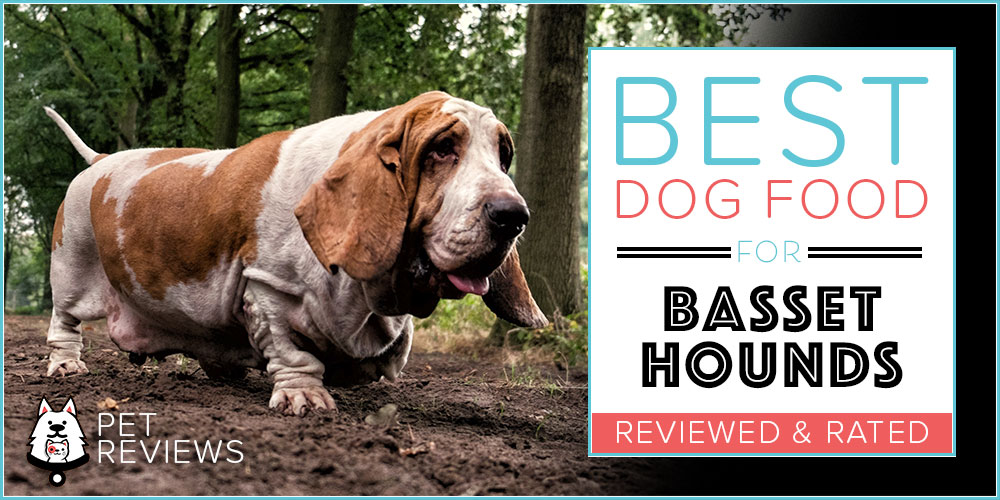 11 Best Dog Foods for Basset Hounds in 2020