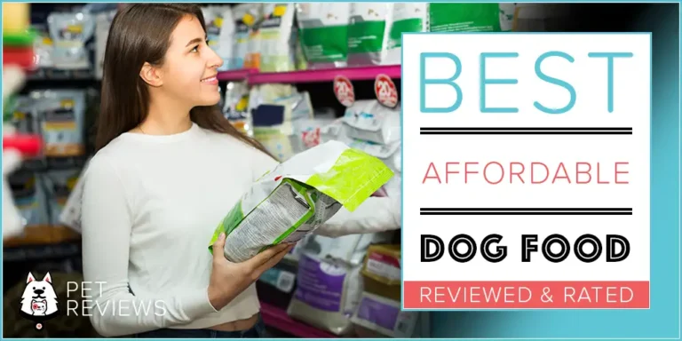 10 Best Cheap Dog Foods Brands that are Higher in Quality