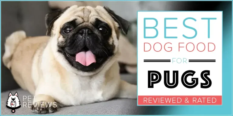 10 Best (Healthiest) Dog Foods for Pugs: Our 2023 Feeding Guide