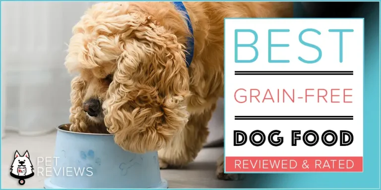 10 Best Grain Free Dog Foods with our Most Affordable Pick