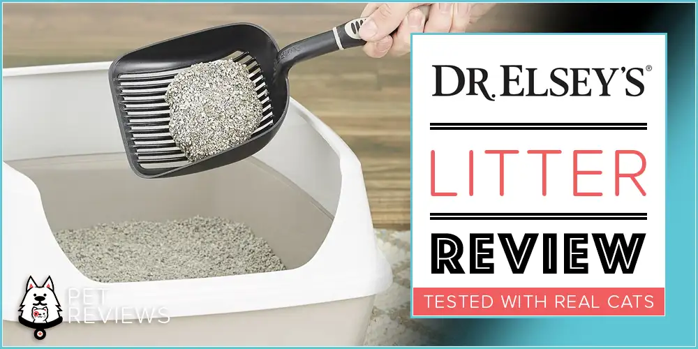 Dr. Elsey's Cat Litter Review