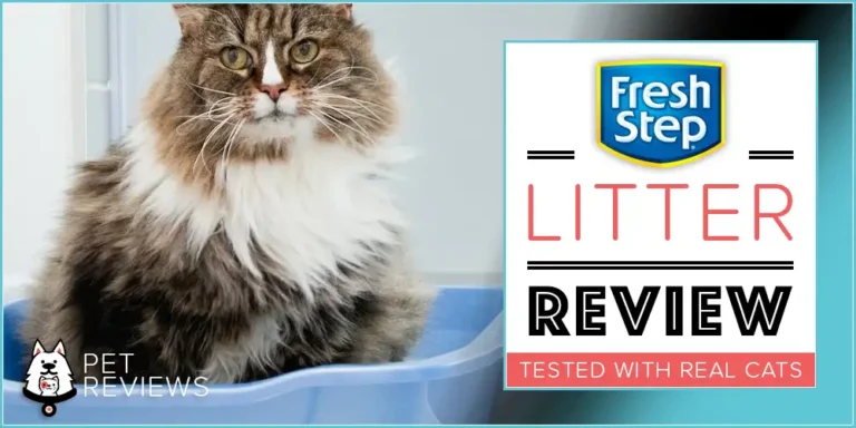 Our 2023 Fresh Step Cat Litter Reviews and Coupons