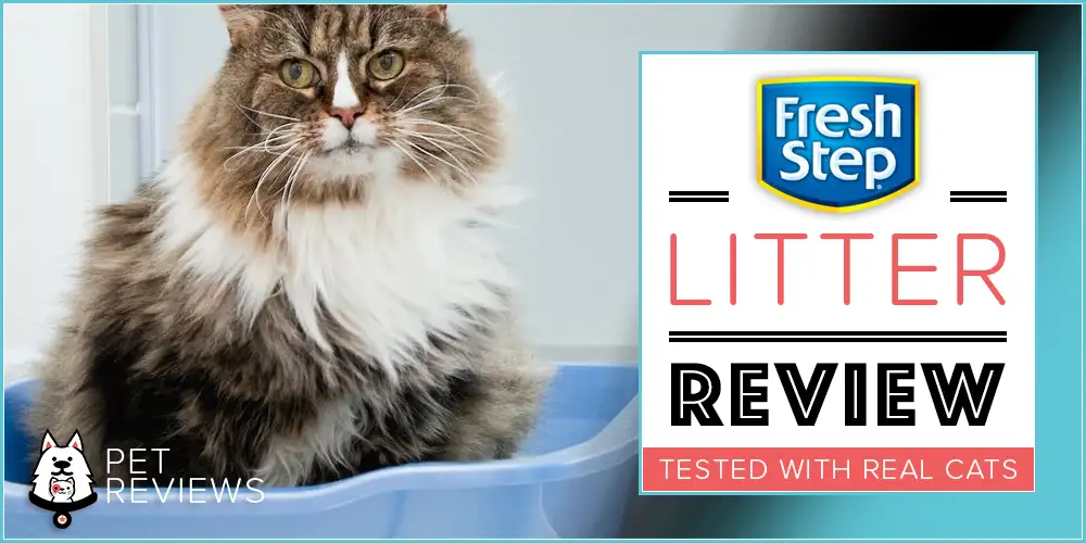 Fresh Step Cat Litter Review