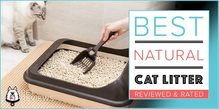 7 Best Natural (Eco-Friendly) Cat Litters that are Biodegradable in 2023