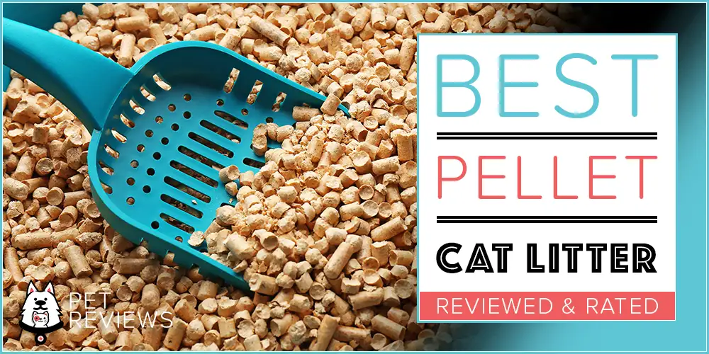 Best Pellet Cat Litter