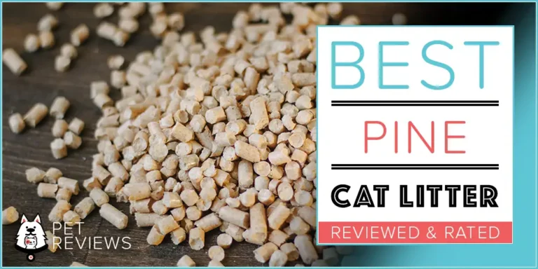 6 Best Pine Cat Litters With Our 2023 Budget-Friendly Pick