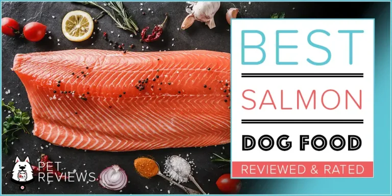 7 Best Dog Foods with Salmon: 2023 Top Rated Salmon Dog Foods