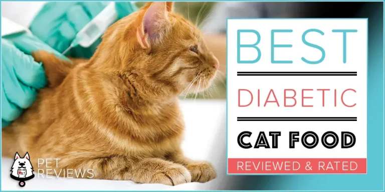 Best Cat Food for Diabetic Cats : 10 Healthy Low Carb Recipes for 2023